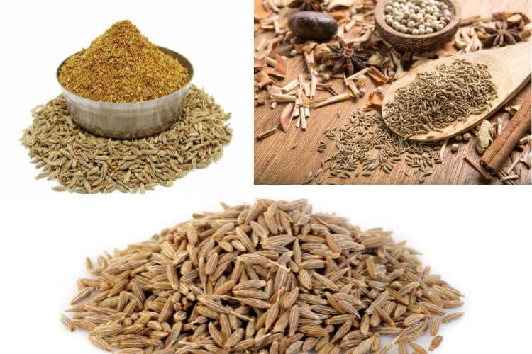 Indian Cumin